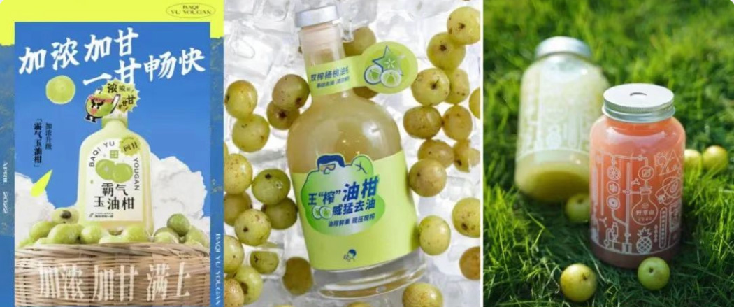 解困功能草本,捕捉國潮養生浪潮