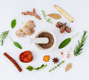 釋放植物力量，實(shí)現(xiàn)植物功能成分風(fēng)味優(yōu)化及多維度功能覆蓋